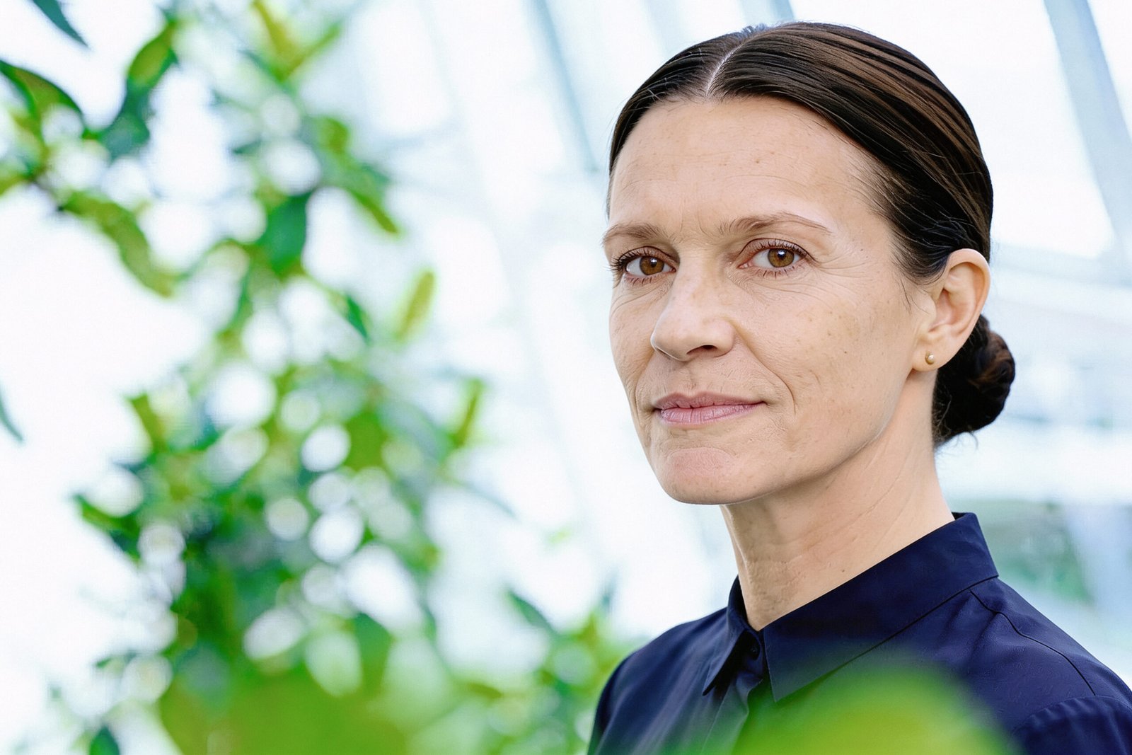 Image gallery marquee